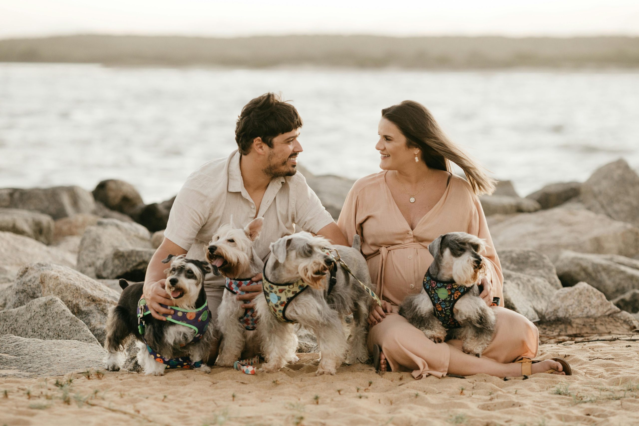 💜 Amor incondicional entre humanos y mascotas 🐾 El vínculo entre tú y tu mascota es único. Dales lo mejor cada día.